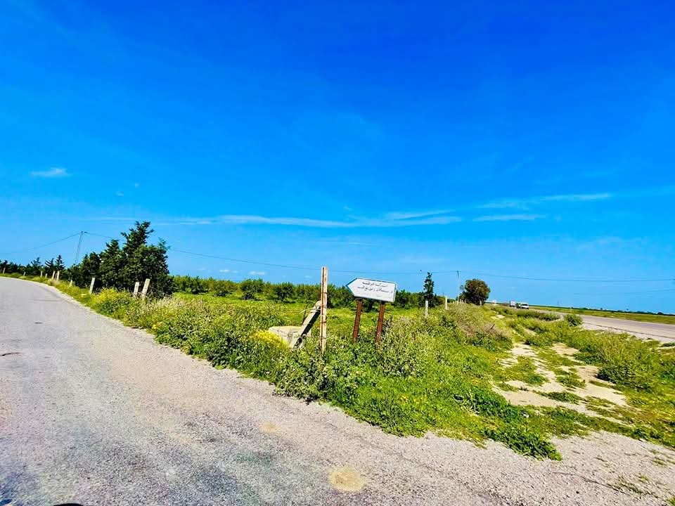 Pour un terrain proche de la mer