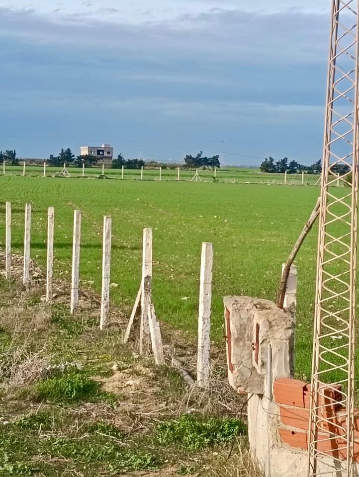 Votre futur havre de paix à kelibia
