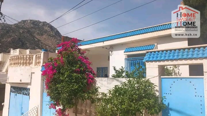Immeuble viorne a zaghouan