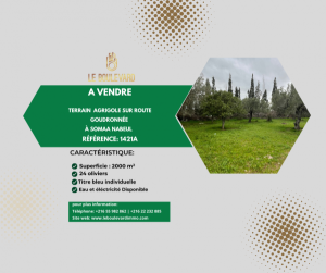 A terrain 2000m agricole ref1421a