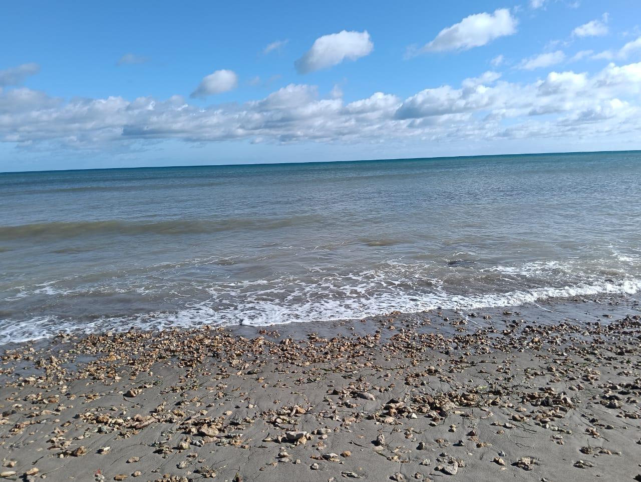 Investissez au bord de la mer à hammam el ghzez