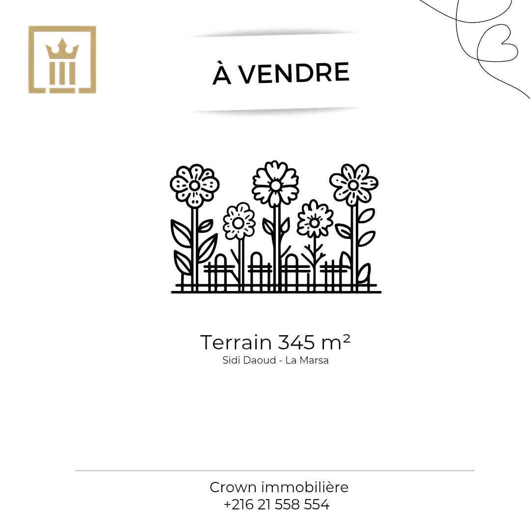 Terrain nu a sidi daoud
