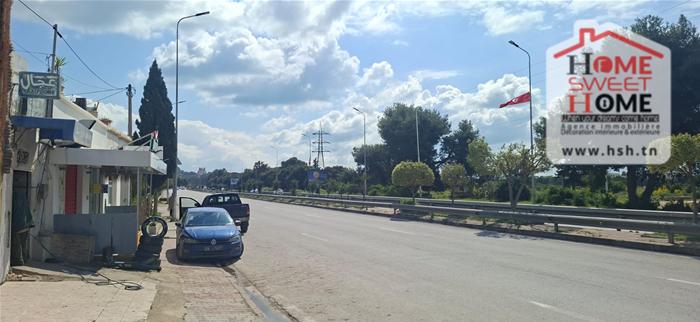 Pas de porte monstera à ain zaghouen nord