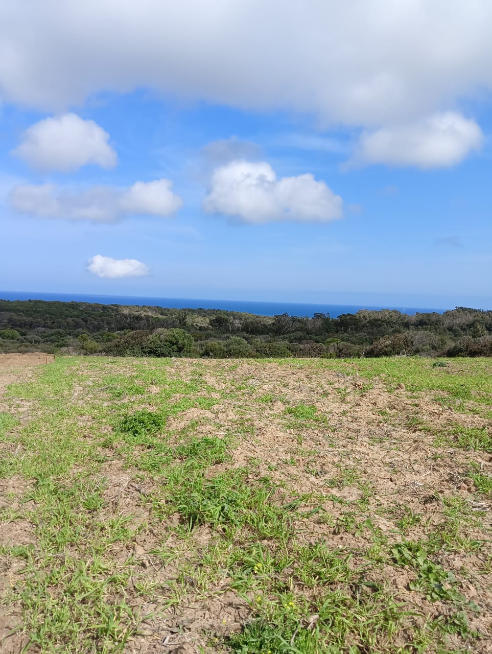 Terrain vue dégagée