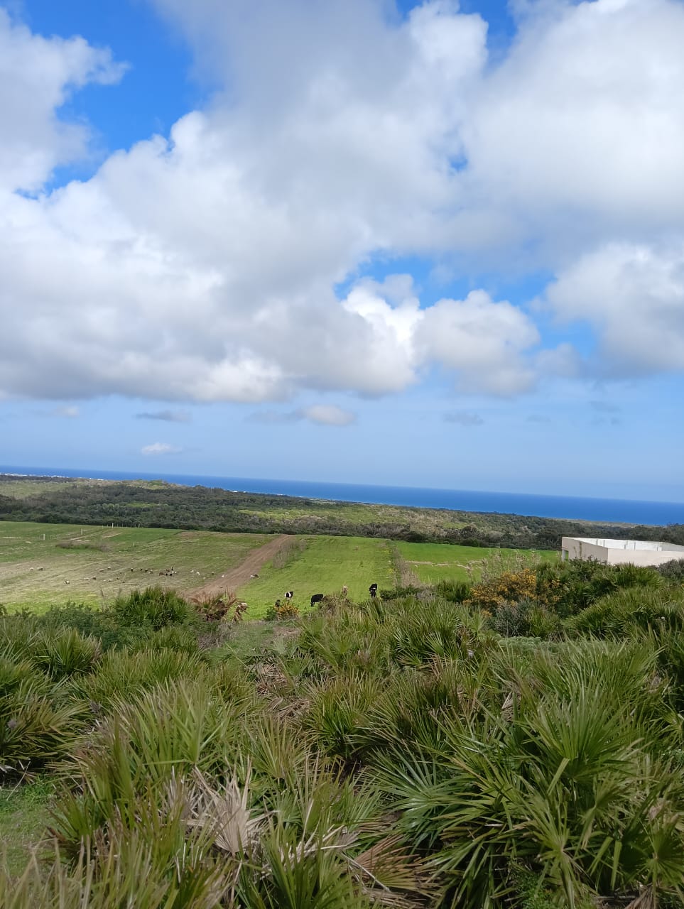 Terrain tamezrat kelibia
