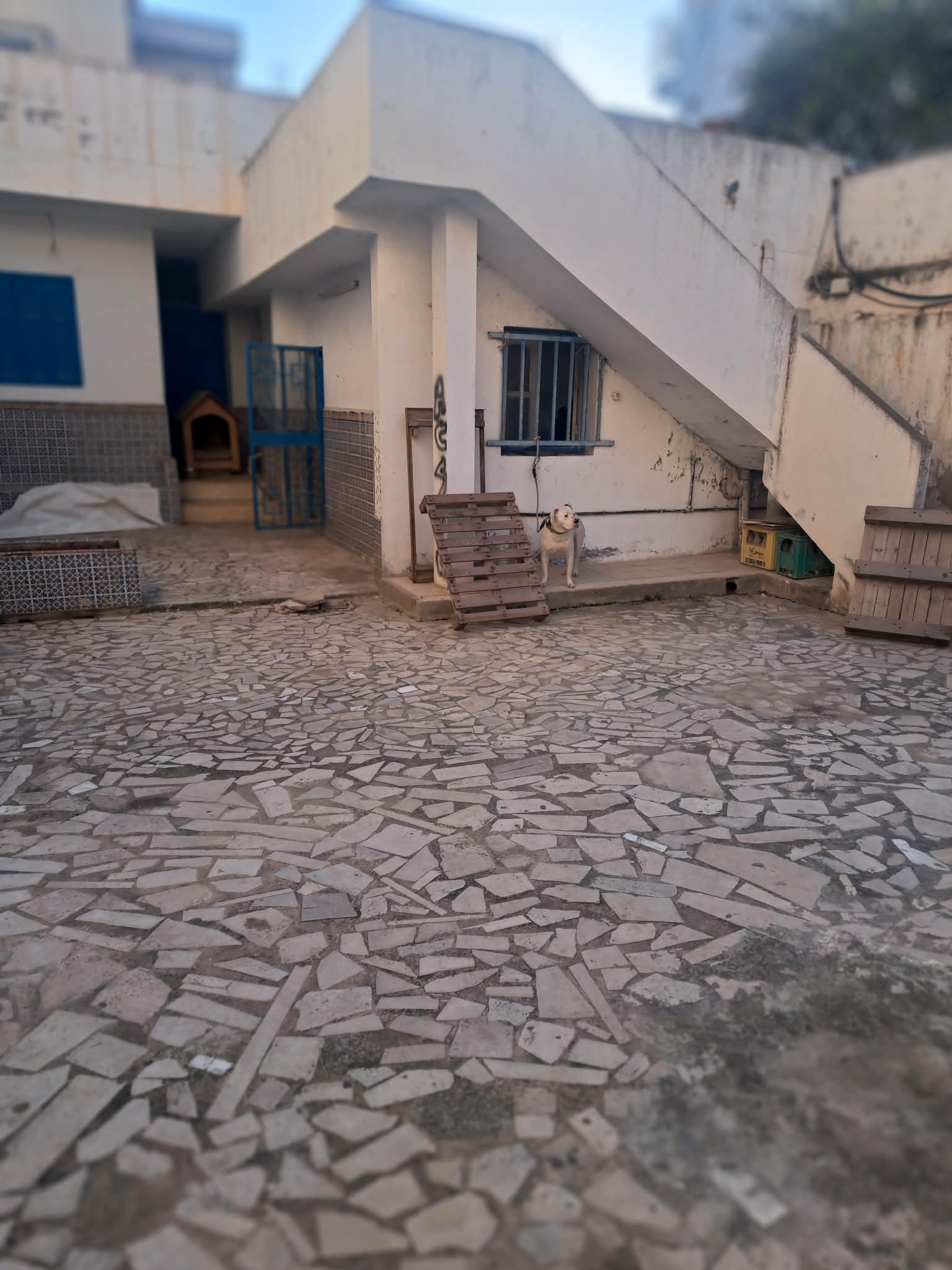 Maison avec fort potentiel à l'ariana