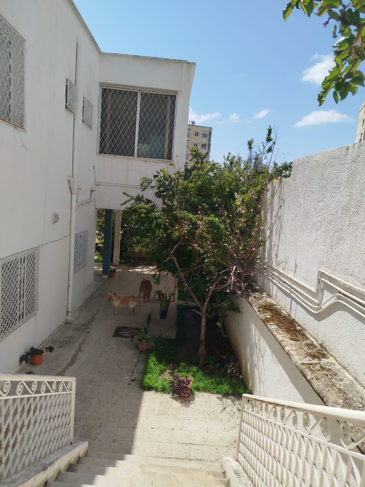 Un spacieux rdc de villa s4 indépendant à menzah6