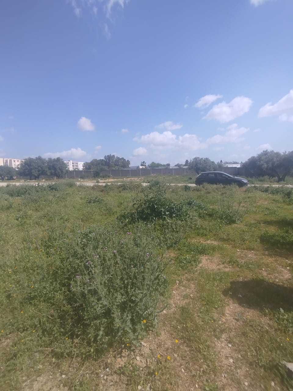 Un lot de terrain à la mannouba