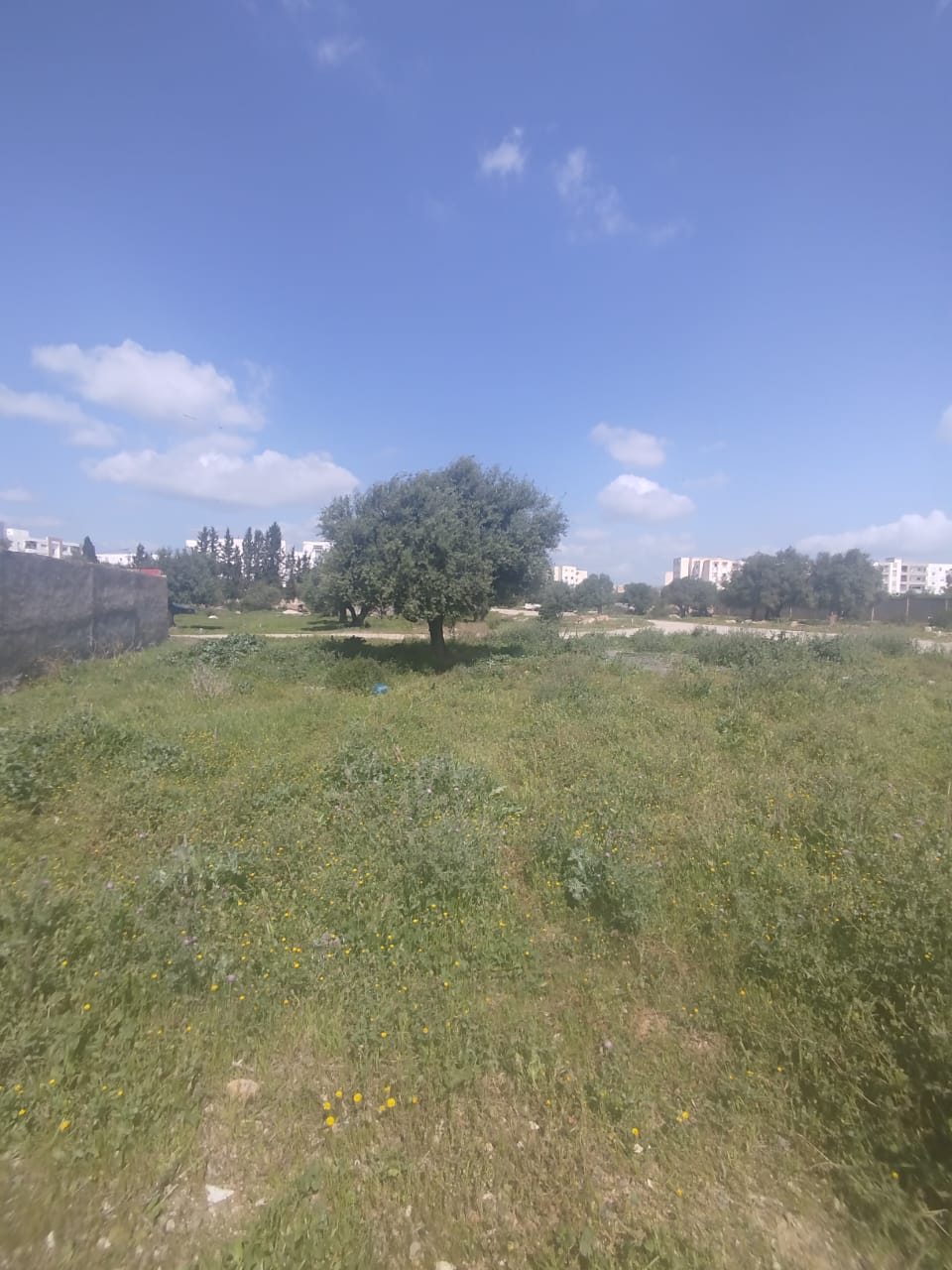 Un lot de terrain de 460m2 à mannouba