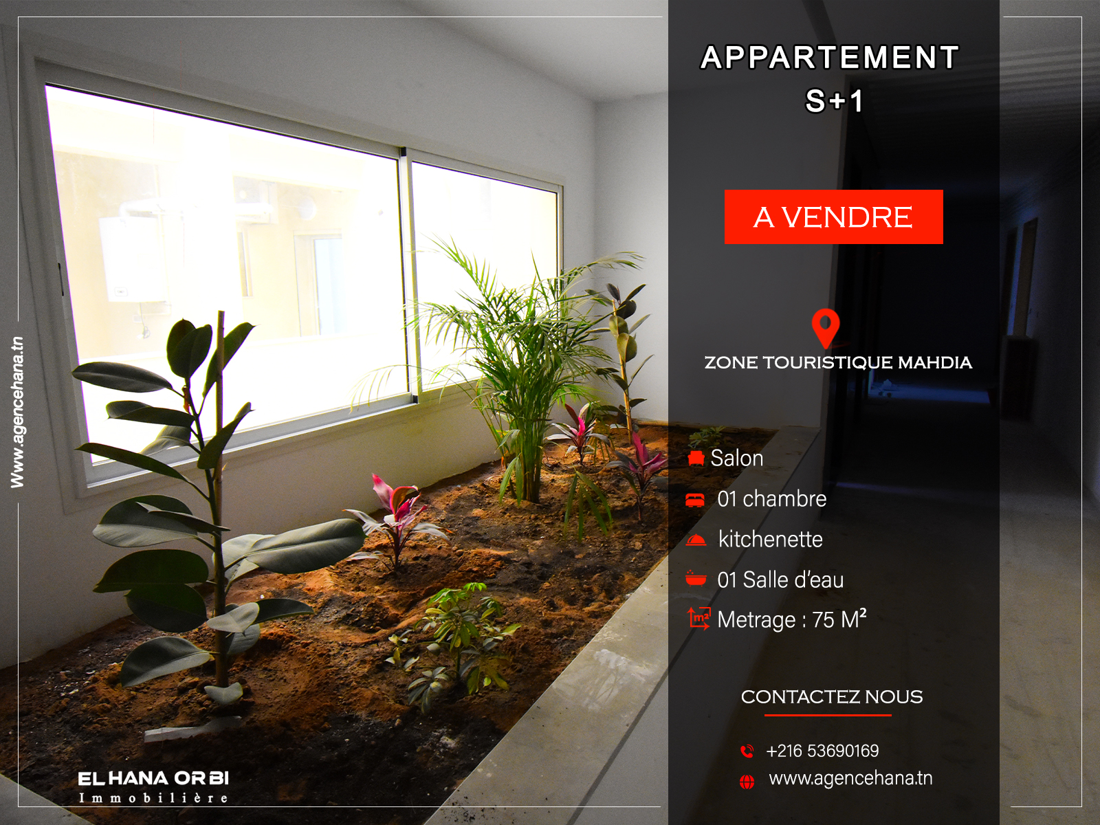S1 avec piscine directement promoteur à mahdia