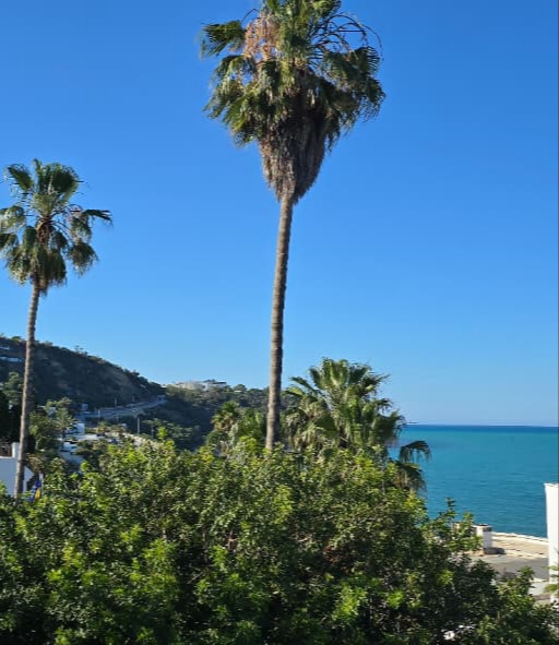 Terrain vue mer gammarth