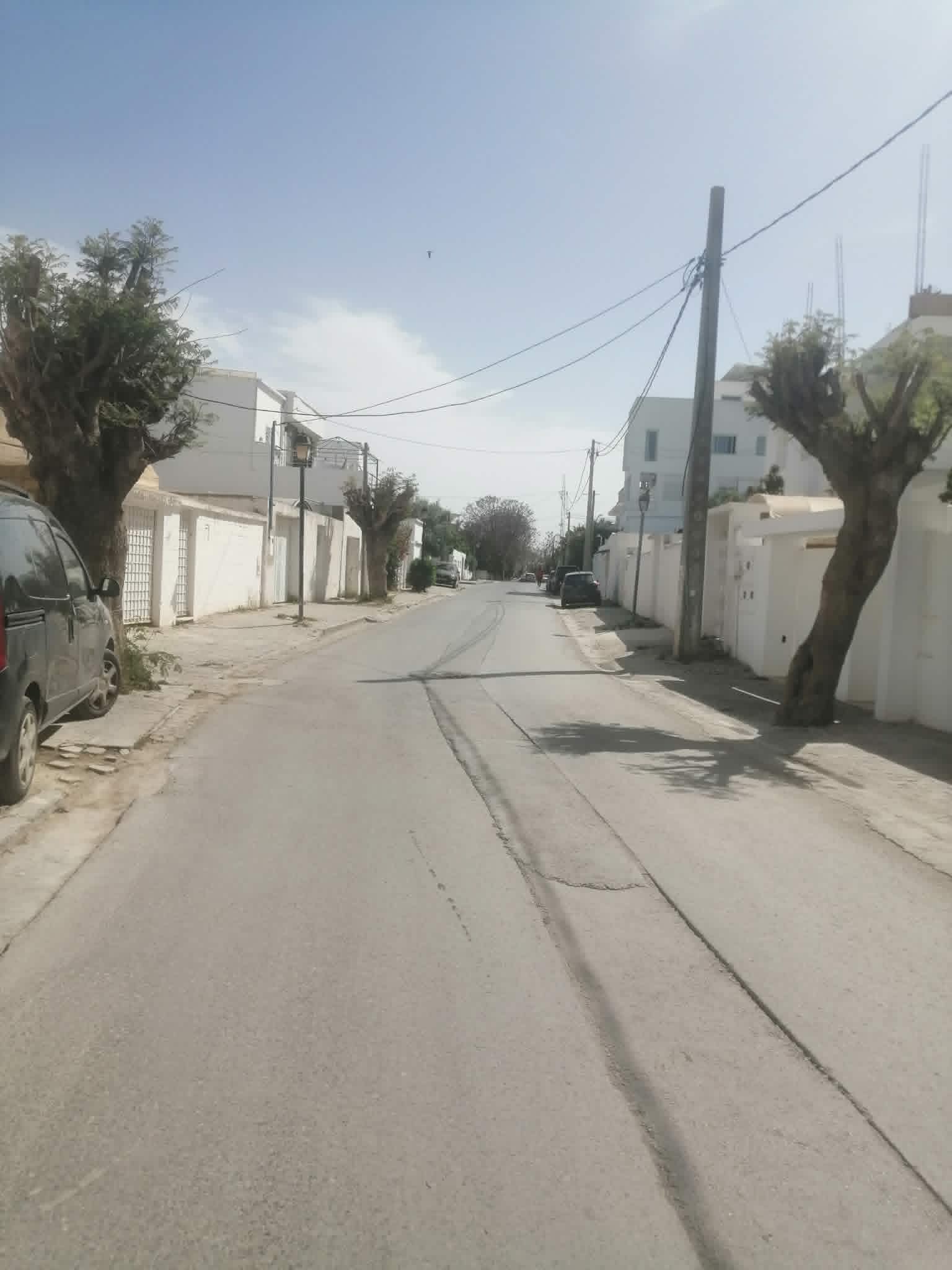 Terrain a carthage byrsa