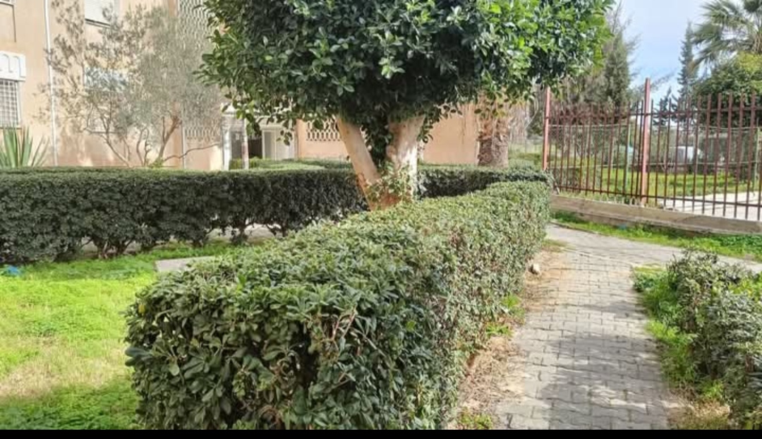 Appartement 3chambres rdc