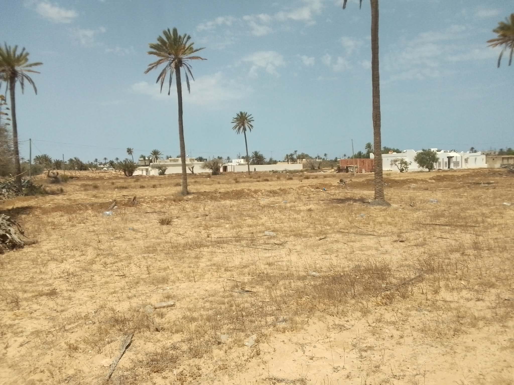 Très jolie lot de terrain nu a jerba midoun
