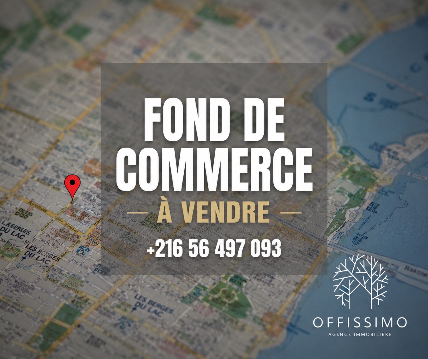 Fond de commerce aux berges du lac 2