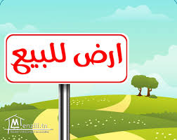 Terrain a borj louzir soukra