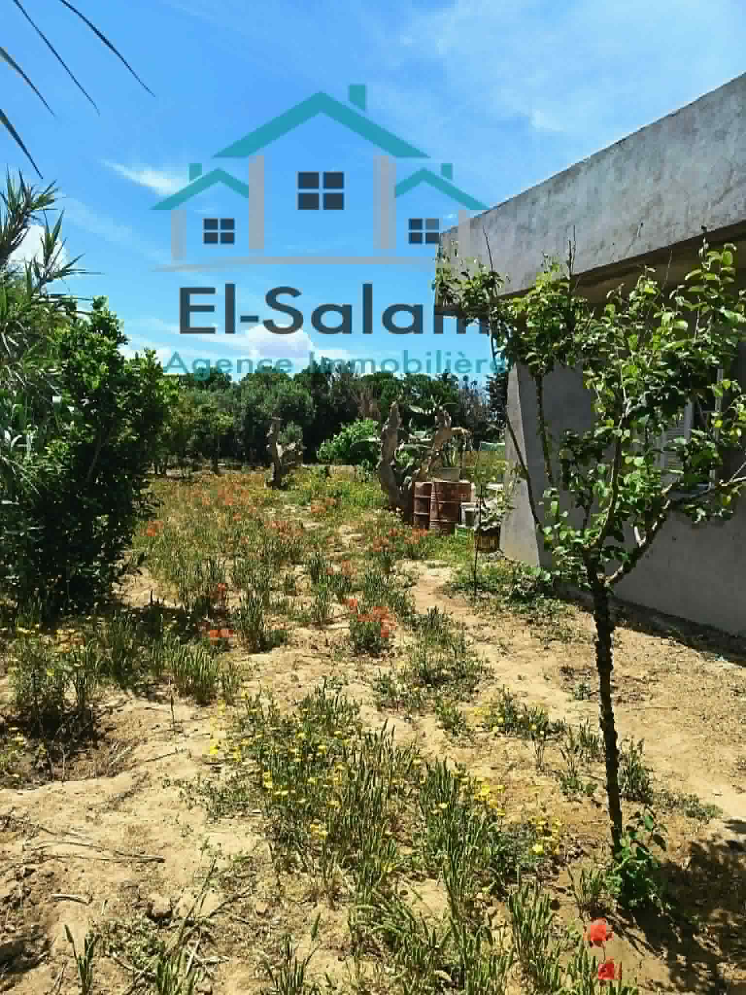 Maison a kelibia opportunité a ne pas raté