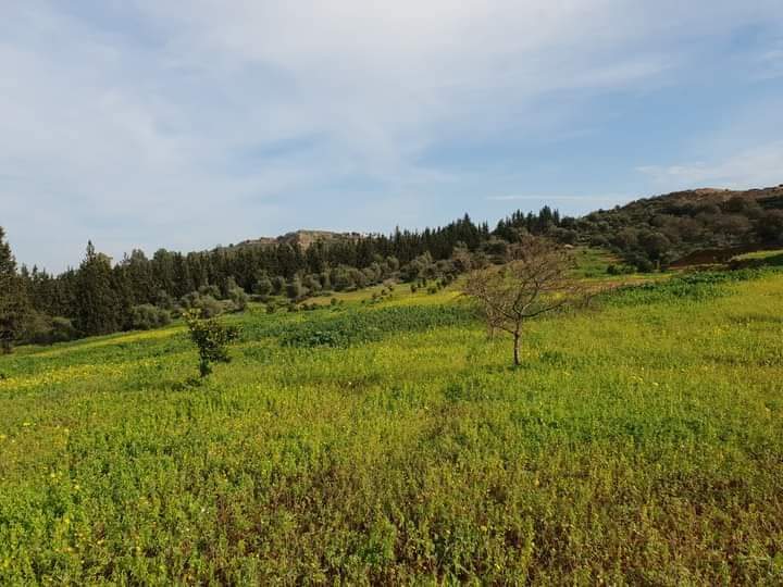 Grande villa à sidi thabet
