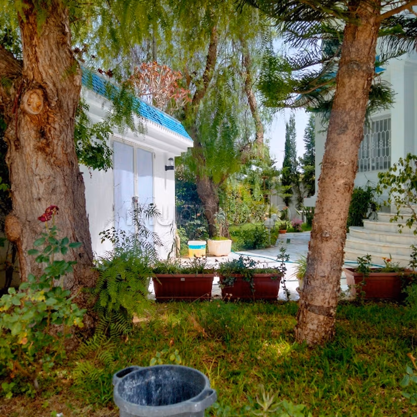 Grande villa commerciale