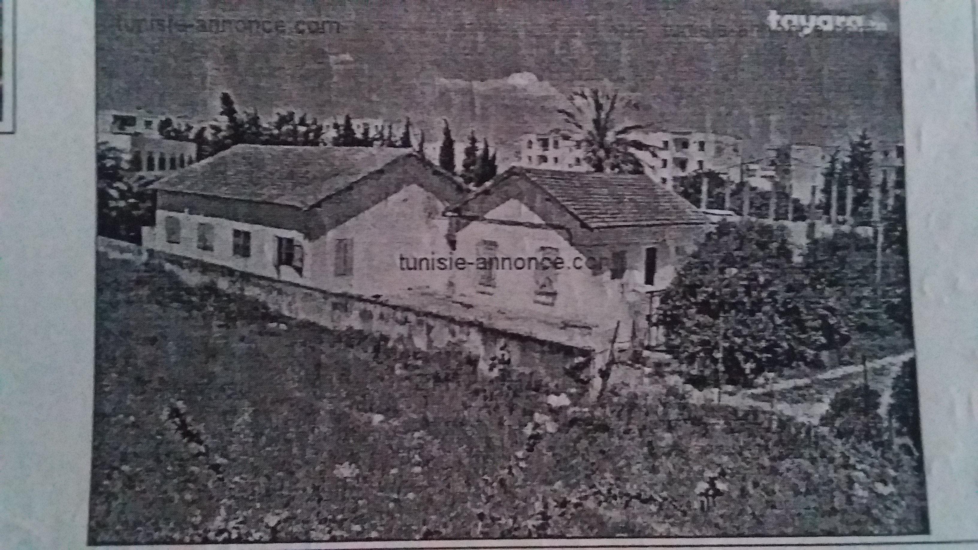 Cite el khadra
