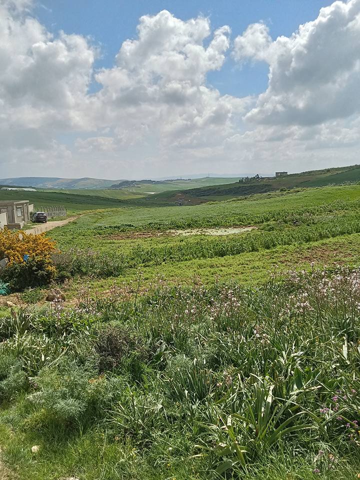 Terrain agricole a bechateur
