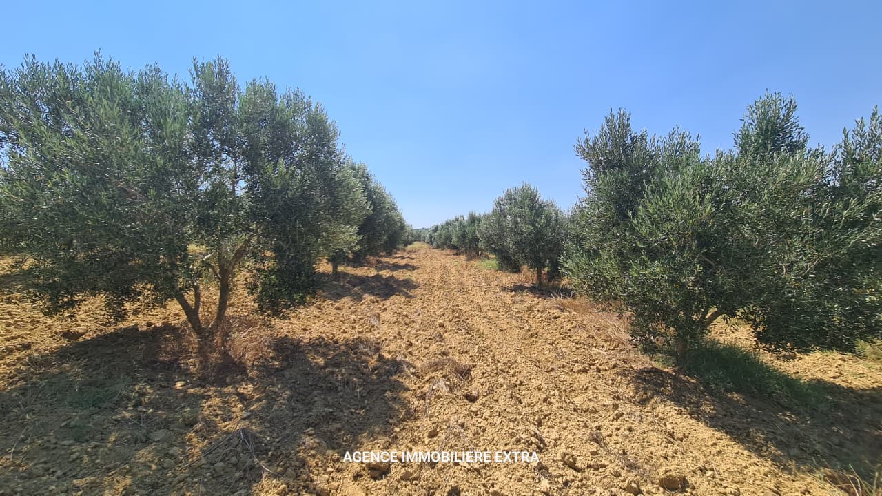 Comapagne a boushem nabeul