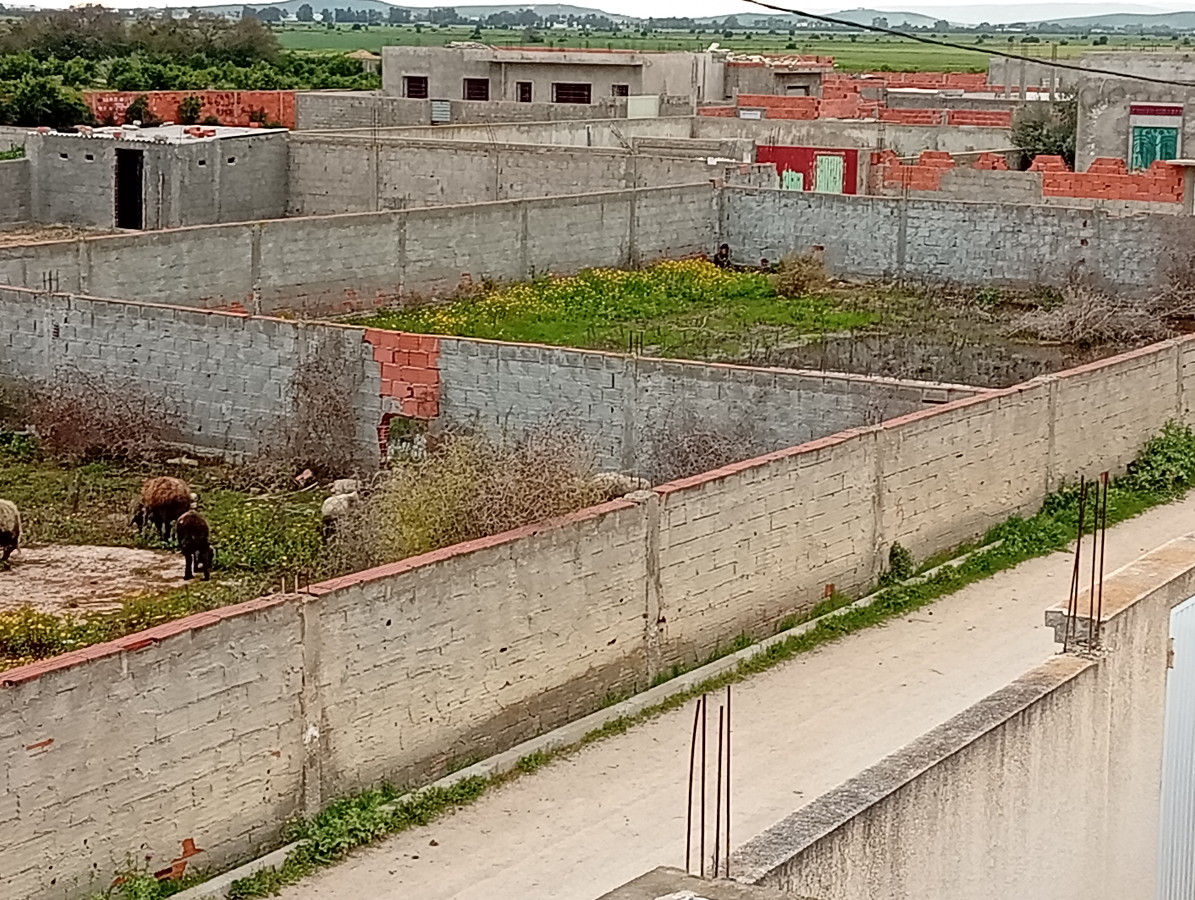 Terrain de 300 m