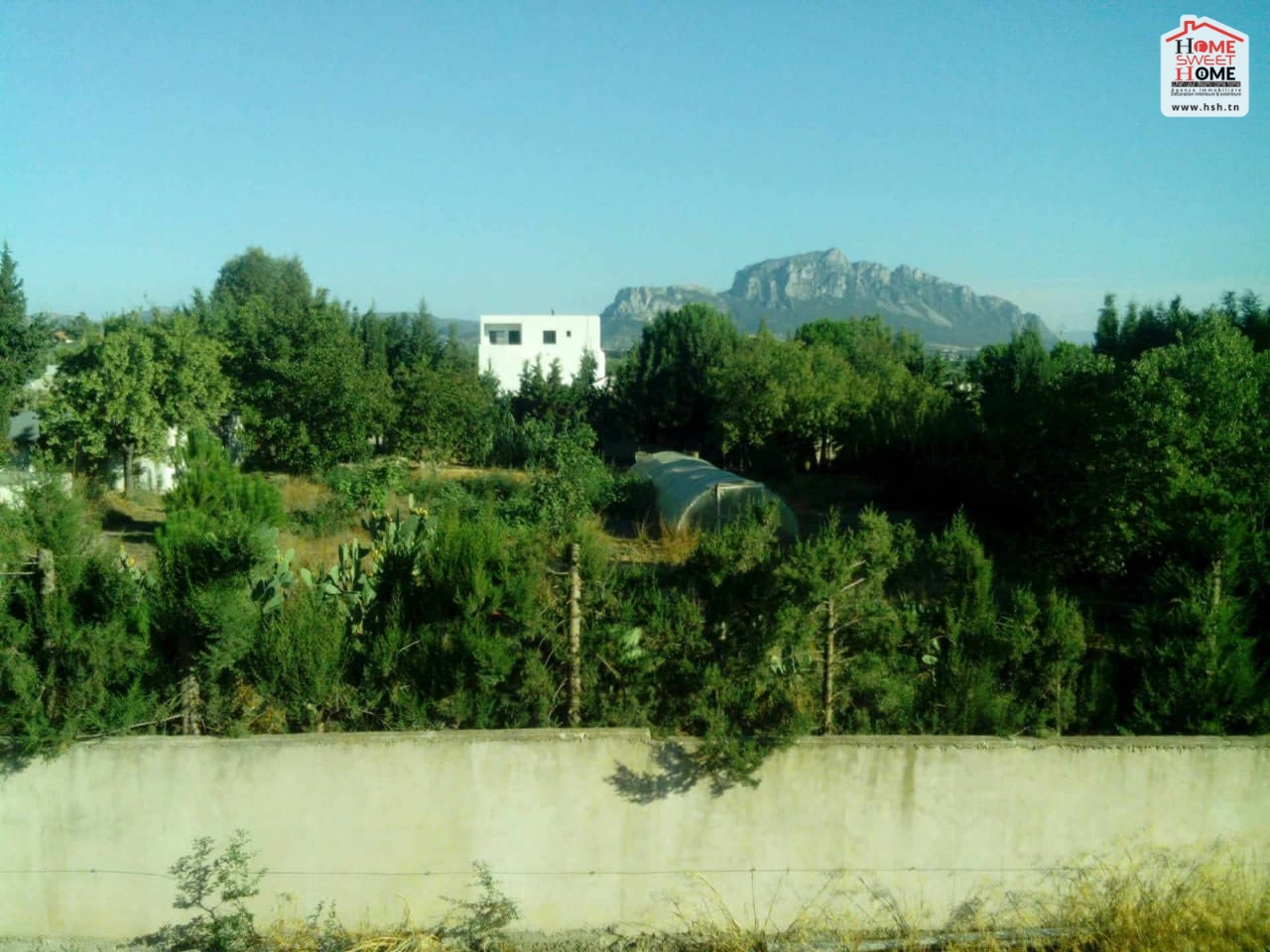 Ferme anwar à morneg