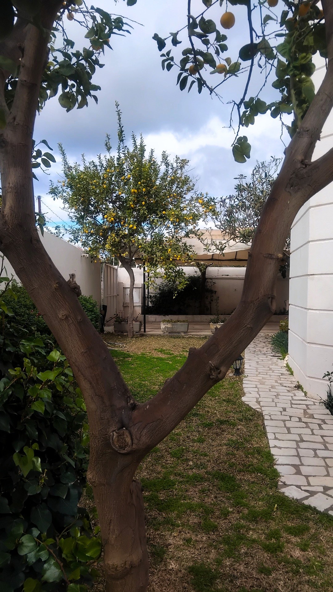 Villa s5 haut standing