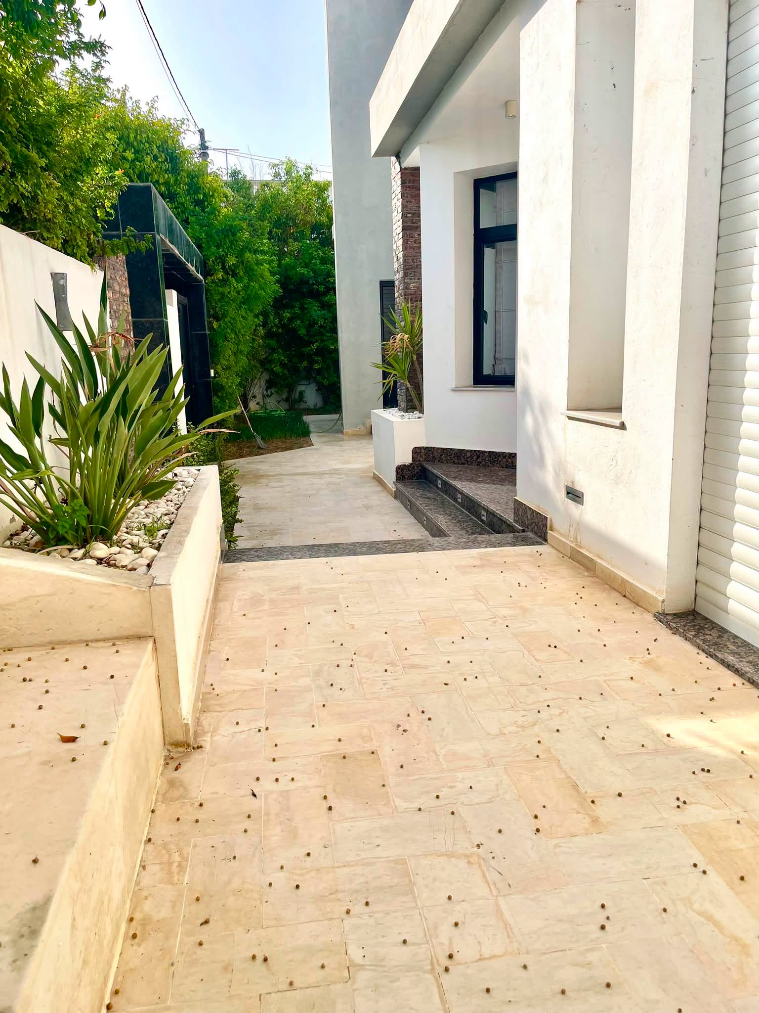 Villa à megrine proche du future projet sama dubai