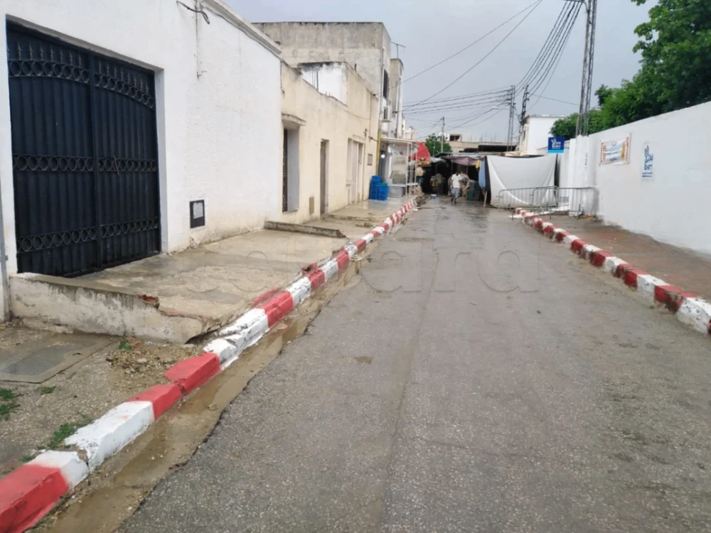 Maison a zahrouni