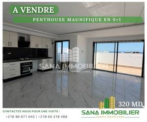 penthouse s1 avec vue mer ref552a