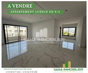 A appartement luxeux en s3 ref563a