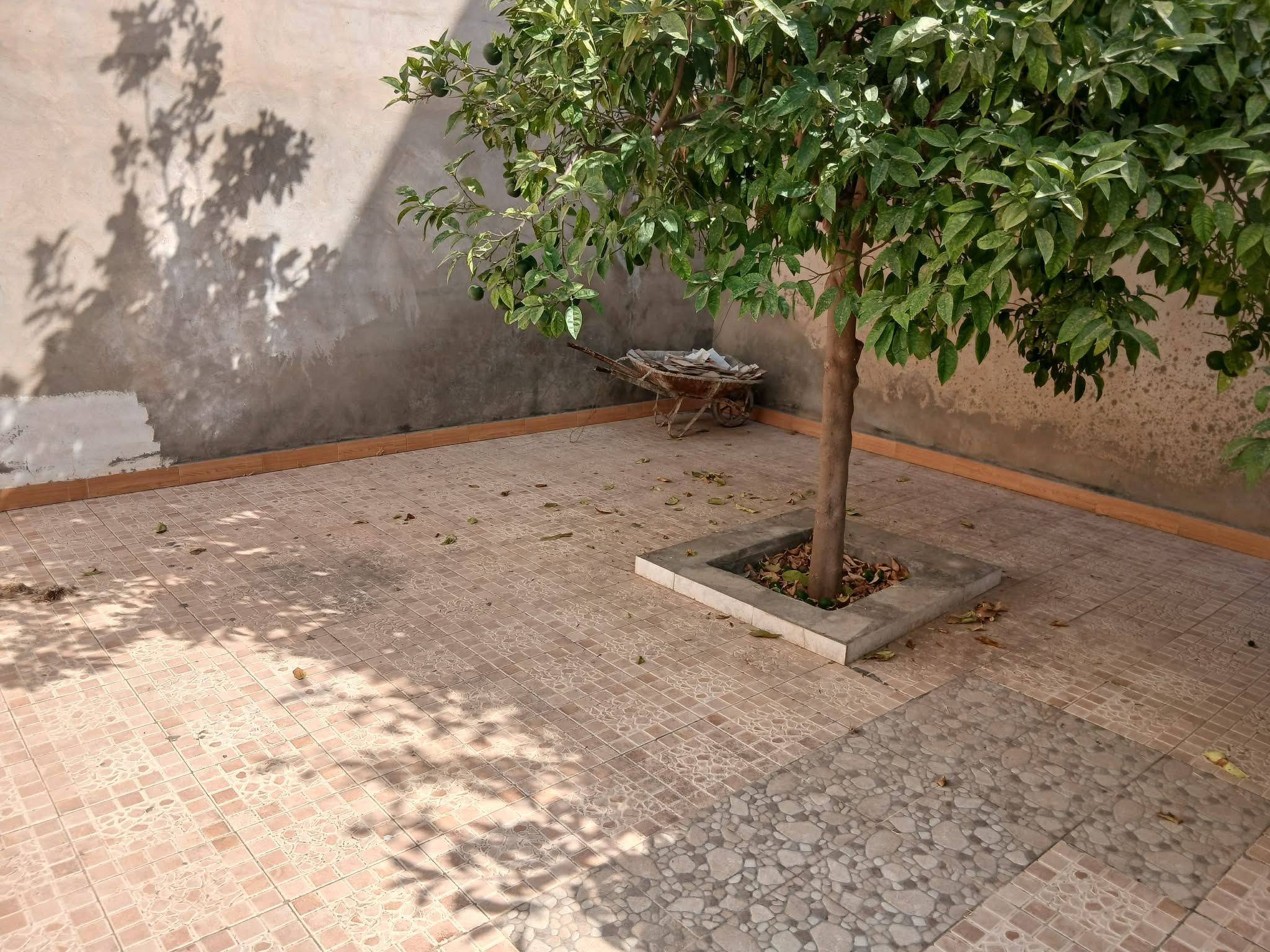 Maison et appartement mrezgua