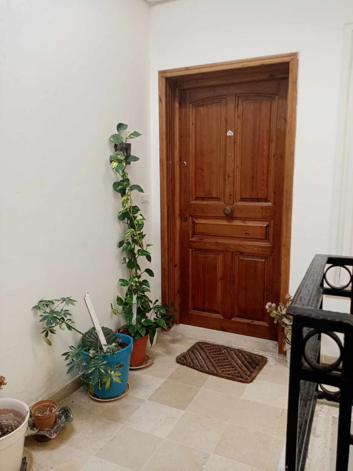 Appartement s plus 3