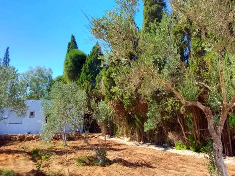 Maison s 2 terrain 310 m 2 route plage