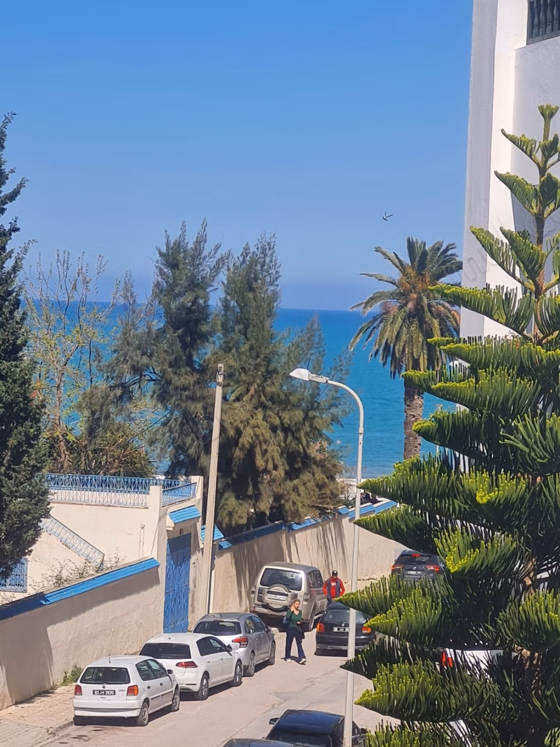 Location appartement s3 à la marsa plage