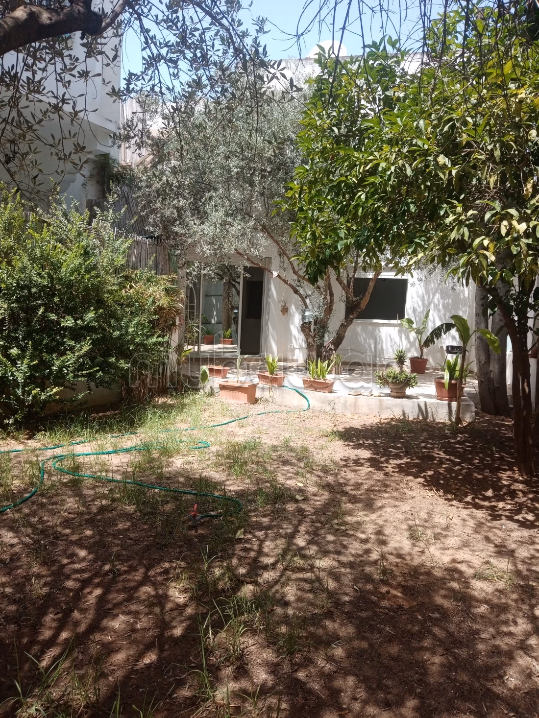 Directe Proprio, Magnifique rez de chaussée