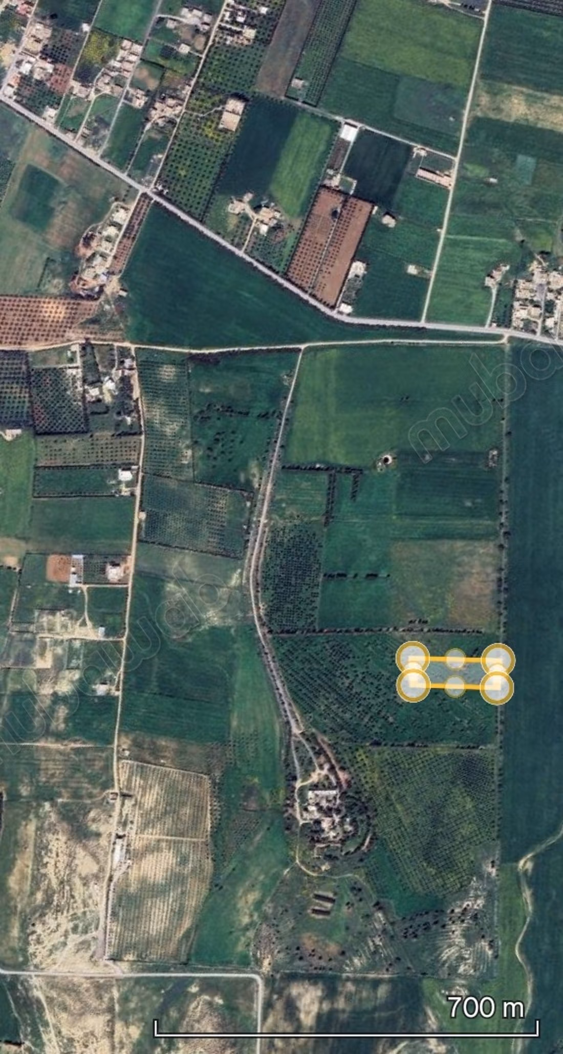 Un hectare à 20 minutes de Tunis