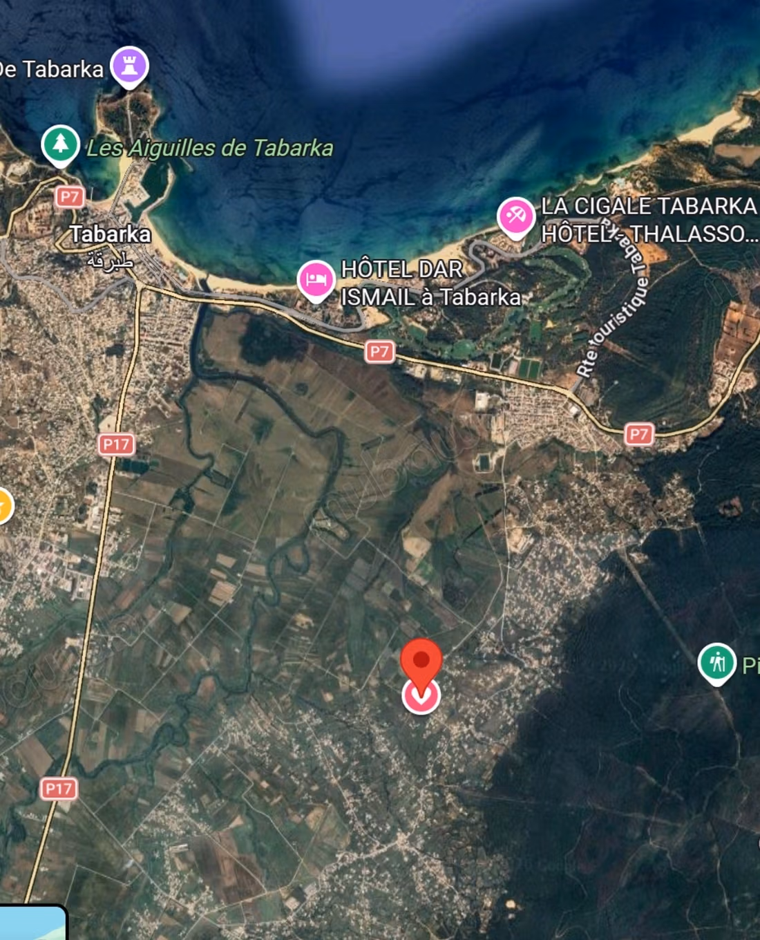 Terrain à vendre à Tabarka – 1 350 m²