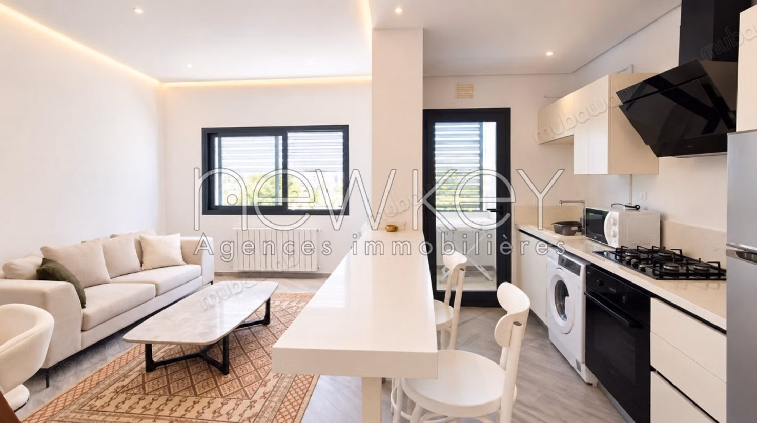 Appartement S1 meublé à louer au lac 2